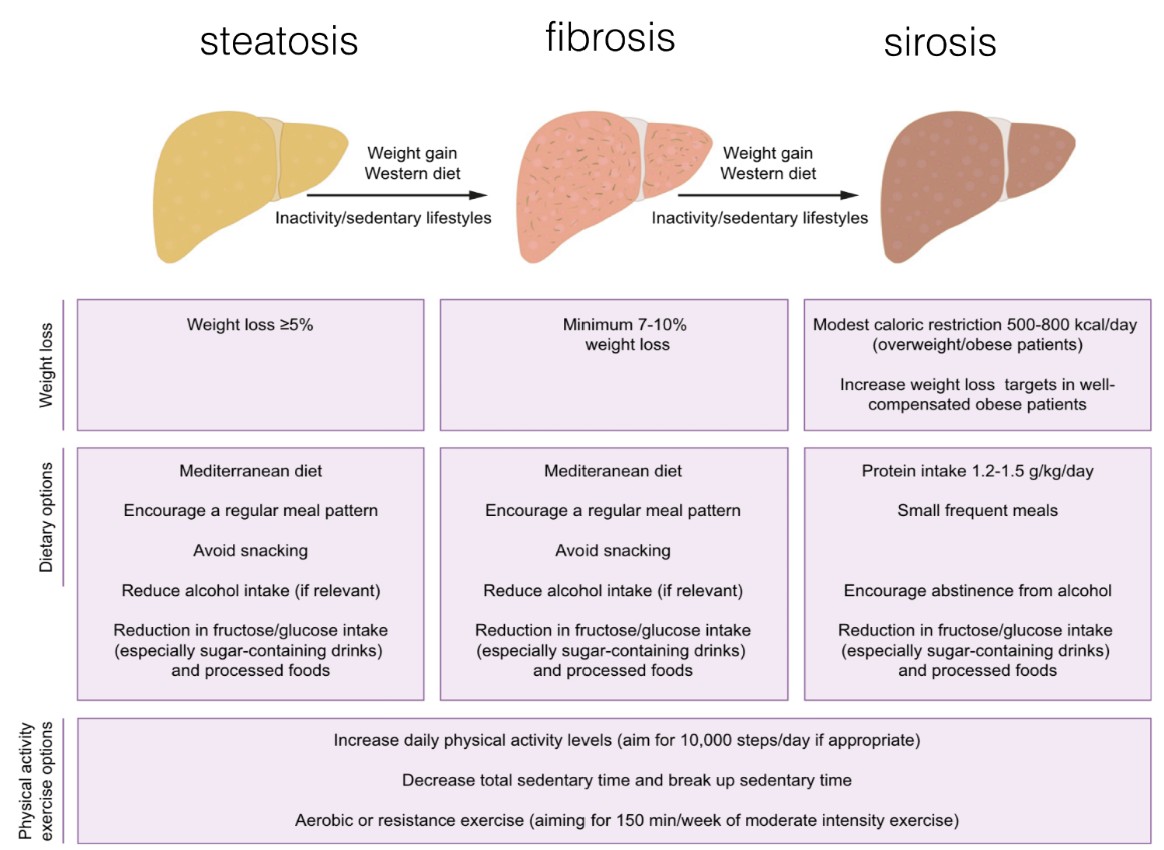 Strategi pencegahan dan penanganan fatty liver melalui modifikasi gaya hidup